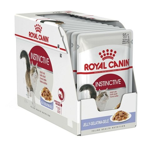 Royal Canin ROYAL CANIN FHN Instinctive w galaretce - mokra karma dla kota dorosłego - 12x85g Royal Canin ROYAL CANIN FHN Instinctive w galaretce - mokra karma dla kota dorosłego - 12x85g