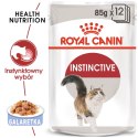 Royal Canin ROYAL CANIN FHN Instinctive w galaretce - mokra karma dla kota dorosłego - 12x85g