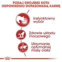 Royal Canin ROYAL CANIN FHN Instinctive w sosie - mokra karma dorosłych kotów - 12x 85 g