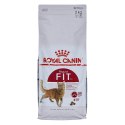 Royal Canin ROYAL CANIN FHN Regular Fit 32 - sucha karma dla kota dorosłego - 2 kg