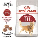 Royal Canin ROYAL CANIN FHN Regular Fit 32 - sucha karma dla kota dorosłego - 400 g