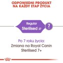 Royal Canin ROYAL CANIN FHN Regular Sterilised 37 - sucha karma dla kota dorosłego - 10 kg