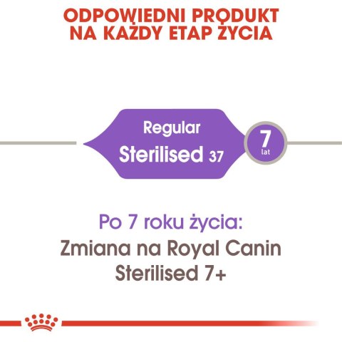 Royal Canin ROYAL CANIN FHN Regular Sterilised 37 - sucha karma dla kota dorosłego - 400 g Royal Canin ROYAL CANIN FHN Regular Sterilised 37 - sucha karma dla kota dorosłego - 400 g