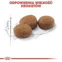 Royal Canin ROYAL CANIN FHN Regular Sterilised 37 - sucha karma dla kota dorosłego - 400 g