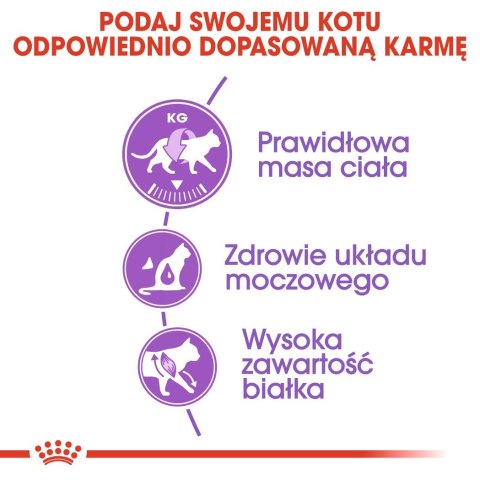 Royal Canin ROYAL CANIN FHN Regular Sterilised 37 - sucha karma dla kota dorosłego - 400 g Royal Canin ROYAL CANIN FHN Regular Sterilised 37 - sucha karma dla kota dorosłego - 400 g