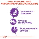 Royal Canin ROYAL CANIN FHN Sensible - sucha karma dla kota dorosłego - 10kg