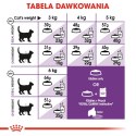 Royal Canin ROYAL CANIN FHN Sensible - sucha karma dla kota dorosłego - 10kg