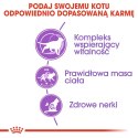 Royal Canin ROYAL CANIN FHN Sterilised 7+ - sucha karma dla kota dorosłego - 10 kg