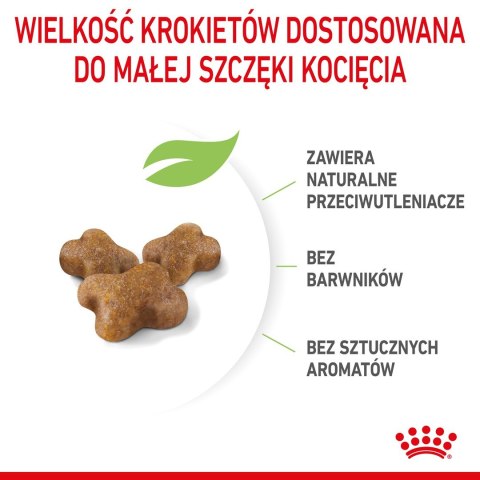 Royal Canin ROYAL CANIN Kitten 36 - sucha karma dla kota - 2 kg Royal Canin ROYAL CANIN Kitten 36 - sucha karma dla kota - 2 kg
