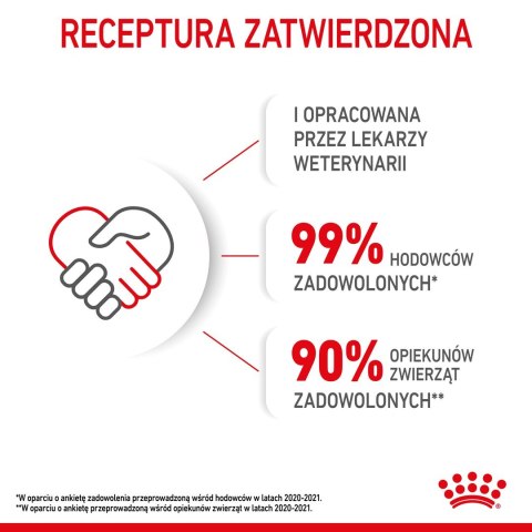Royal Canin ROYAL CANIN Kitten 36 - sucha karma dla kota - 2 kg Royal Canin ROYAL CANIN Kitten 36 - sucha karma dla kota - 2 kg