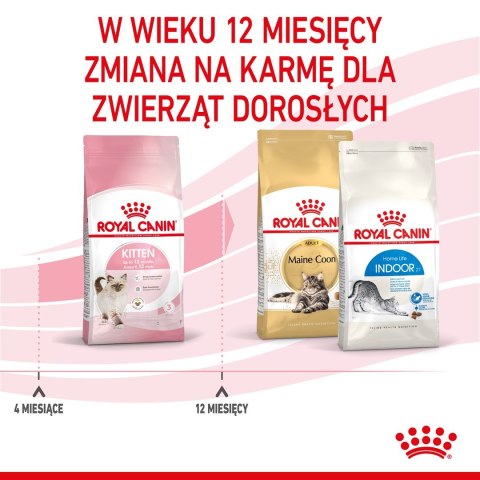 Royal Canin ROYAL CANIN Kitten 36 - sucha karma dla kota - 2 kg Royal Canin ROYAL CANIN Kitten 36 - sucha karma dla kota - 2 kg