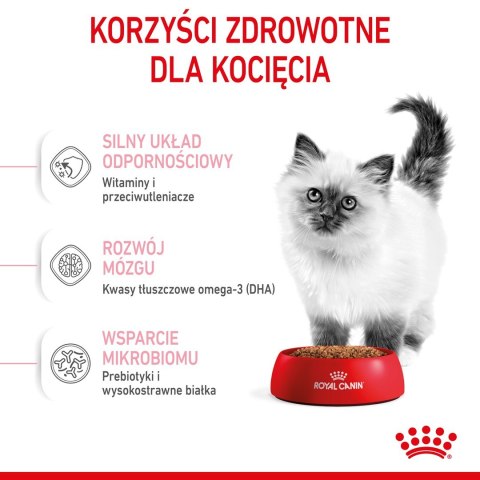 Royal Canin ROYAL CANIN Kitten 36 - sucha karma dla kota - 2 kg Royal Canin ROYAL CANIN Kitten 36 - sucha karma dla kota - 2 kg