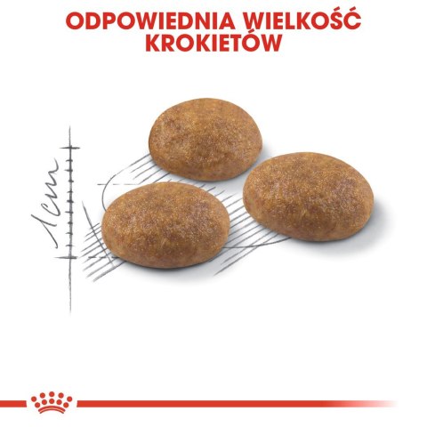 Royal Canin ROYAL CANIN Outdoor 30 0,4kg Royal Canin ROYAL CANIN Outdoor 30 0,4kg