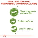 Royal Canin ROYAL CANIN Outdoor 30 0,4kg