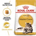 Royal Canin Royal Canin FBN Maine Coon Adult - sucha karma dla kota dorosłego - 4kg