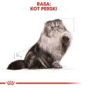 Royal Canin Royal Canin FBN Persian Adult - sucha karma dla kota dorosłego - 4kg