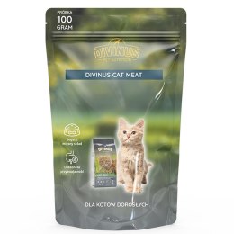 DIVINUS DIVINUS Cat Meat - sucha karma dla kota - 100 g