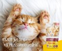 JOSERA JOSERA Pate Kurczak i marchew - mokra karma dla kociąt - saszetka - 85 g