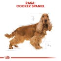 Royal Canin ROYAL CANIN BHN Cocker Adult - sucha karma dla psa dorosłego - 12 kg