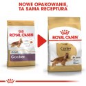 Royal Canin ROYAL CANIN BHN Cocker Adult - sucha karma dla psa dorosłego - 12 kg