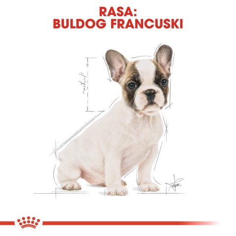 Royal Canin ROYAL CANIN BHN French Bulldog Puppy - sucha karma dla szczeniąt - 3kg Royal Canin ROYAL CANIN BHN French Bulldog Puppy - sucha karma dla szczeniąt - 3kg