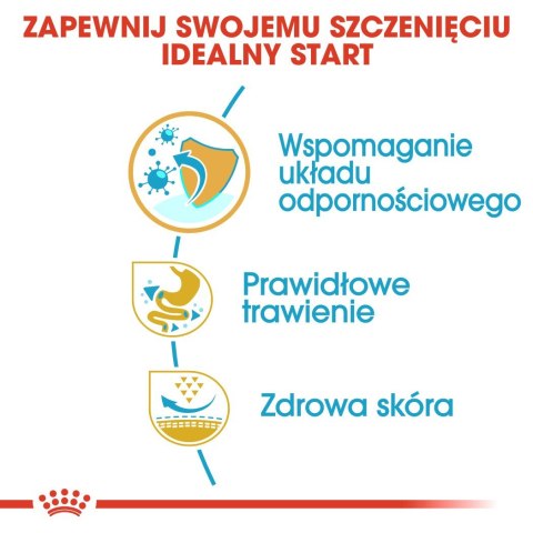 Royal Canin ROYAL CANIN BHN French Bulldog Puppy - sucha karma dla szczeniąt - 3kg Royal Canin ROYAL CANIN BHN French Bulldog Puppy - sucha karma dla szczeniąt - 3kg