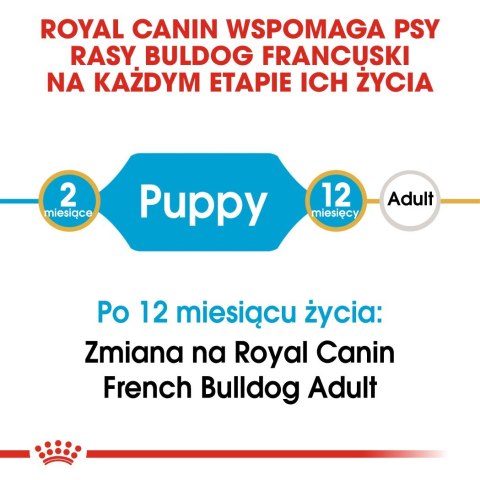 Royal Canin ROYAL CANIN BHN French Bulldog Puppy - sucha karma dla szczeniąt - 3kg Royal Canin ROYAL CANIN BHN French Bulldog Puppy - sucha karma dla szczeniąt - 3kg