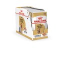 Royal Canin ROYAL CANIN BHN Yorkshire Terrier Adult - mokra karma dla psa dorosłego - 12x85g