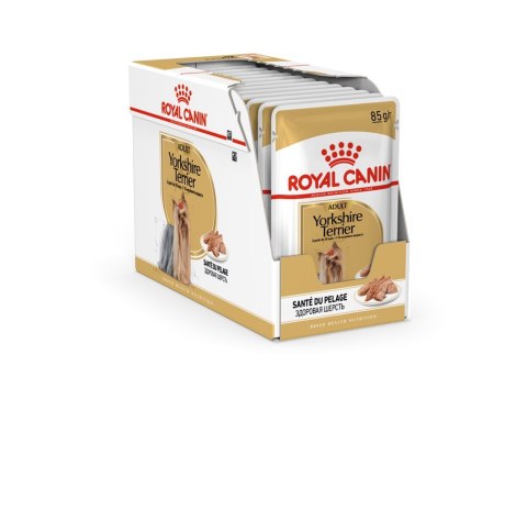 Royal Canin ROYAL CANIN BHN Yorkshire Terrier Adult - mokra karma dla psa dorosłego - 12x85g