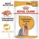 Royal Canin ROYAL CANIN BHN Yorkshire Terrier Adult - mokra karma dla psa dorosłego - 12x85g