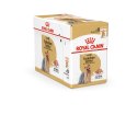 Royal Canin ROYAL CANIN BHN Yorkshire Terrier Adult - mokra karma dla psa dorosłego - 12x85g