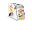 Royal Canin ROYAL CANIN CCN DERMACOMFORT LOAF mokra karma dla psa dorosłego - 12x85g