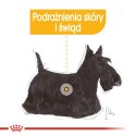 Royal Canin ROYAL CANIN CCN DERMACOMFORT LOAF mokra karma dla psa dorosłego - 12x85g