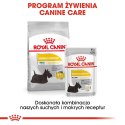 Royal Canin ROYAL CANIN CCN DERMACOMFORT LOAF mokra karma dla psa dorosłego - 12x85g