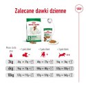 Royal Canin ROYAL CANIN Mini Adult 2kg