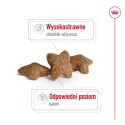 Royal Canin ROYAL CANIN Mini Adult 2kg