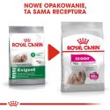 Royal Canin ROYAL CANIN Mini Exigent - sucha karma dla psów wybrednych - 1 kg