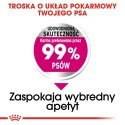 Royal Canin ROYAL CANIN Mini Exigent - sucha karma dla psów wybrednych - 1 kg