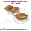 Royal Canin ROYAL CANIN Mini Exigent - sucha karma dla psów wybrednych - 1 kg