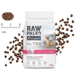 VetExpert Raw Paleo Ultra Pork Medium&Large Puppy 10kg