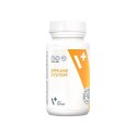 VetExpert VetExpert Immune system (30 kaps.Toff)