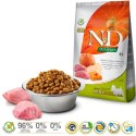 Farmina FARMINA N&D GF Pumpkin, Boar&Apple Adult Mini - sucha karma dla psa - 800 g