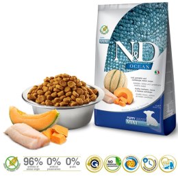 Farmina FARMINA N&D Ocean Dog Cod, Pumpkin, Cantaloupe Melon Puppy Mini - sucha karma dla psa - 2.5 kg