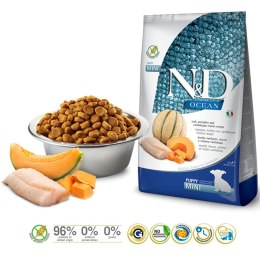 Farmina FARMINA N&D Ocean Dog Cod, Pumpkin & Cantaloupe Melon Puppy Mini - sucha karma dla psa - 800g