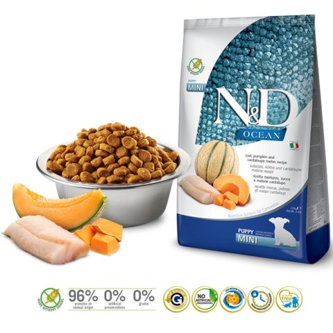 Farmina FARMINA N&D Ocean Dog Cod, Pumpkin & Cantaloupe Melon Puppy Mini - sucha karma dla psa - 800g Farmina FARMINA N&D Ocean Dog Cod, Pumpkin & Cantaloupe Melon Puppy Mini - sucha karma dla psa - 800g