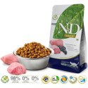 Farmina FARMINA N&D Prime Lamb & Blueberry Adult - sucha karma dla kota - 1,5kg