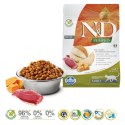 Farmina FARMINA N&D Pumpkin Cat Duck and Cantaloupe Melon Adult - sucha karma dla kota - 300 g