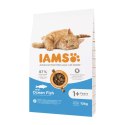 IAMS IAMS Vitality adult cat ocean fish - sucha karma dla kota - 10 kg