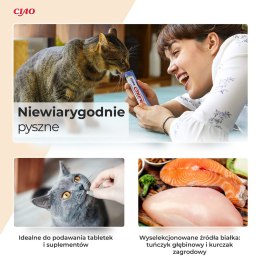 INABA INABA CHURU Varietes Tuńczyk Owoce m- kot 40x14 g