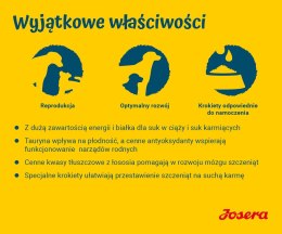 JOSERA JOSERA Family Plus ciąża,laktacja,szczeniaki 12,5kg